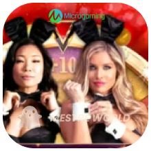 Microgaming214